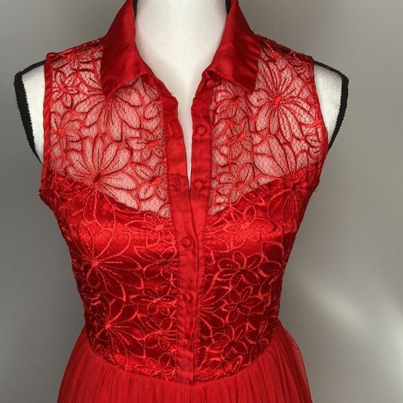 Say What? Dress Red Sleeveless Lace Stain Chiffon Fit and Flair Holiday Dress - Picture 4 of 16